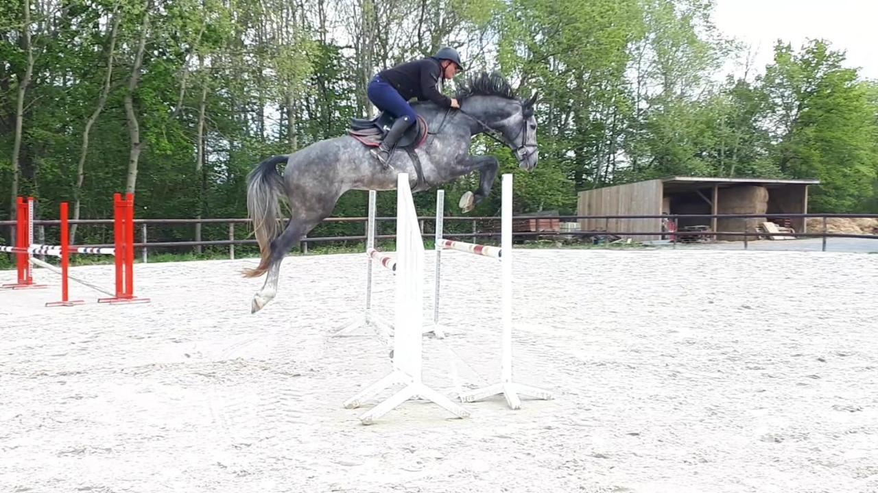 Gite Du Haras De Vales Moult Екстер'єр фото