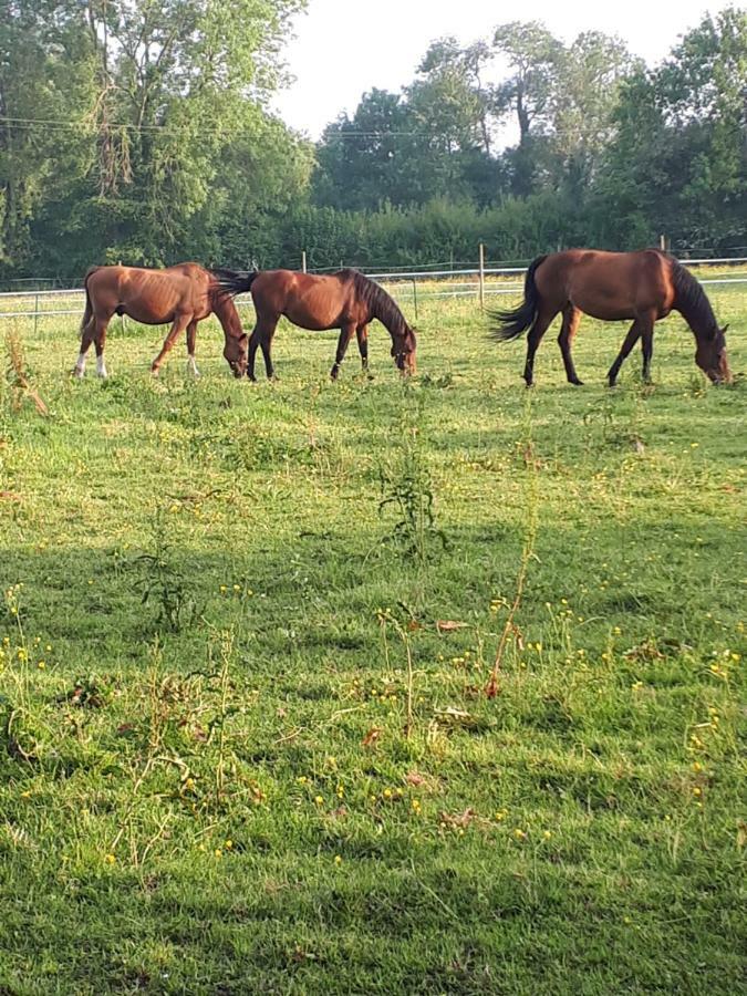 Gite Du Haras De Vales Moult Екстер'єр фото
